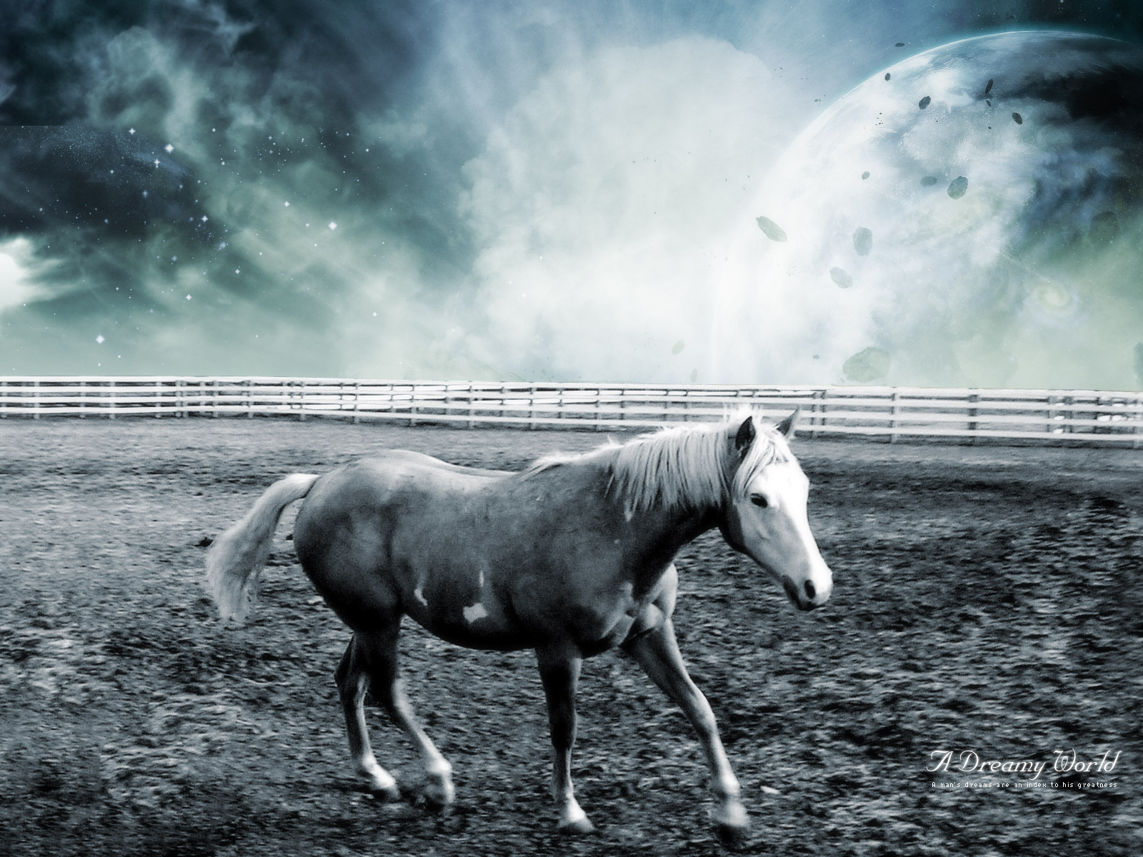 Dreamy Horse World607749413